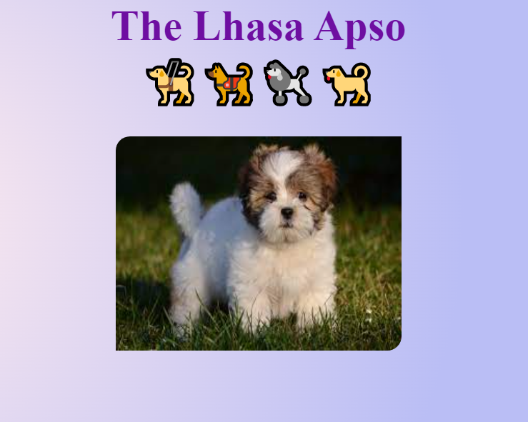 Lhasa landing page picture